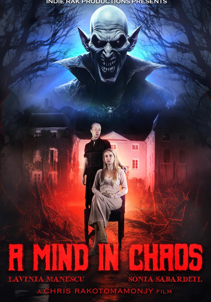 A Mind in Chaos poster