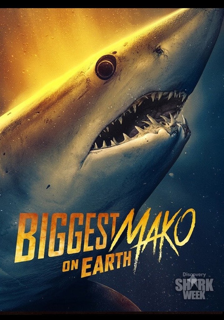 Biggest Mako on Earth poster