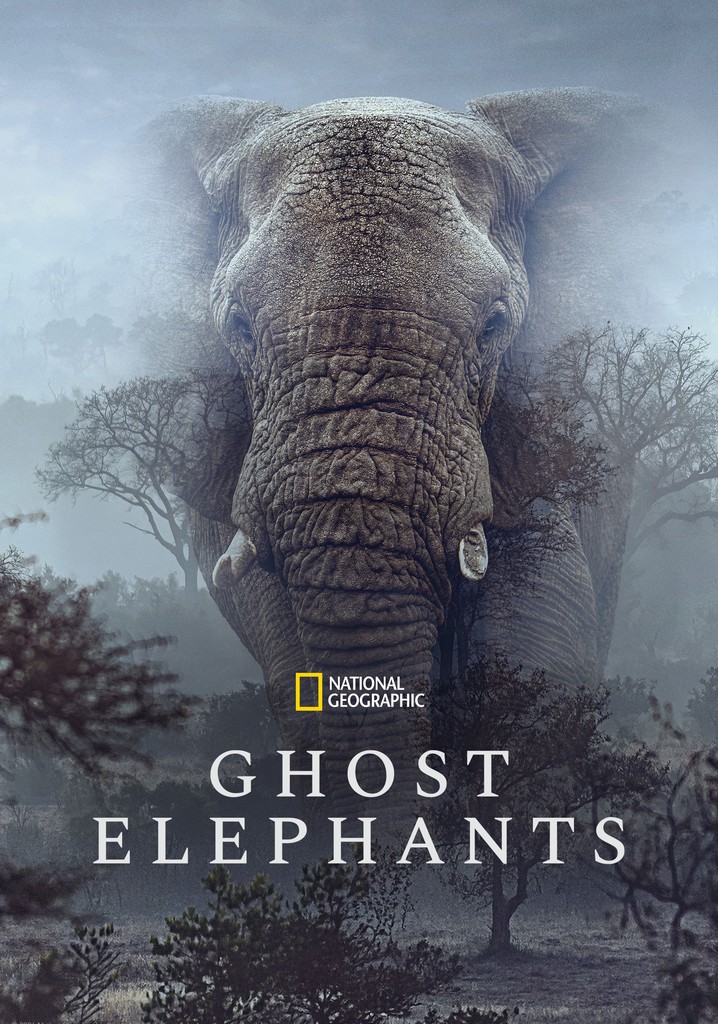 Ghost Elephants poster