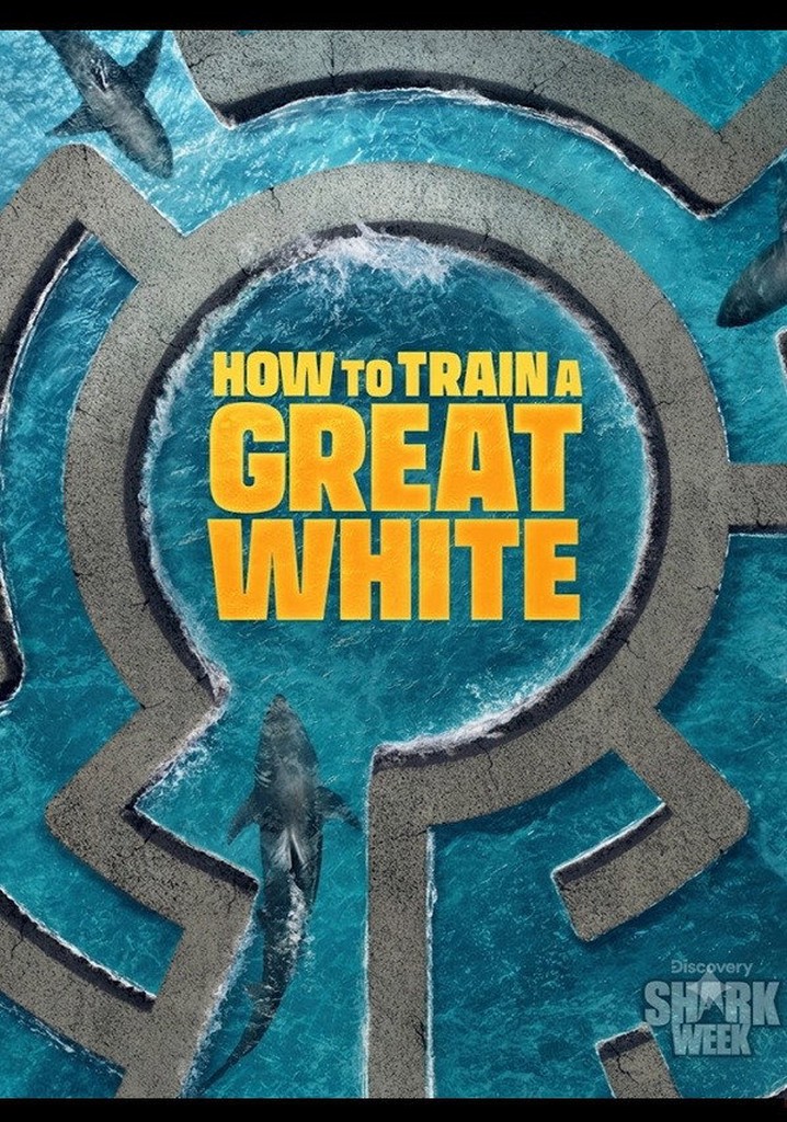 How to Train a Great White poster