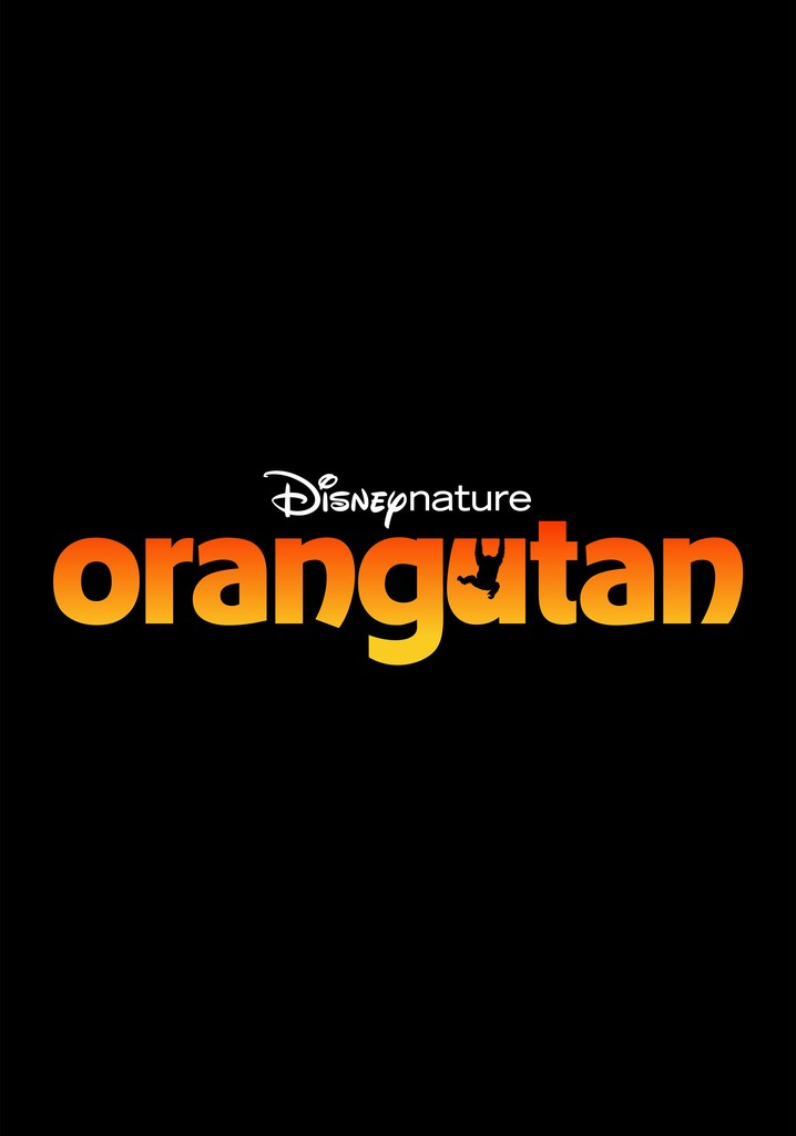 Orangutan poster