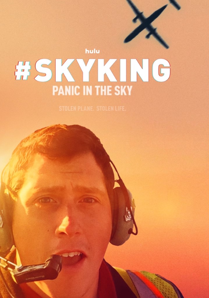 #Skyking poster