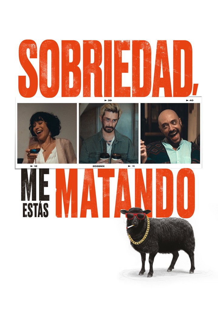 Sobriedad me estás matando poster