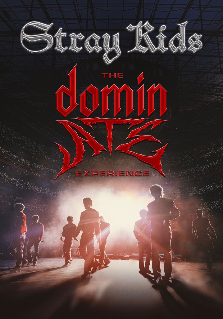Stray Kids: The dominATE Experience poster