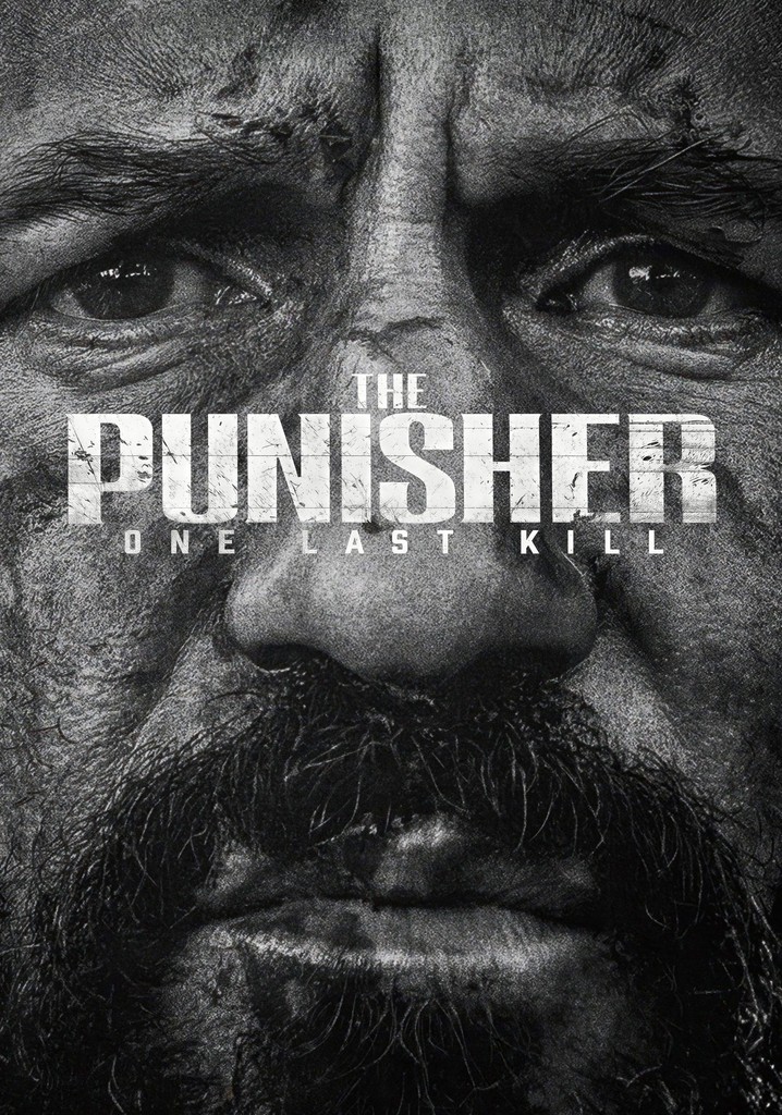 The Punisher: One Last Kill poster