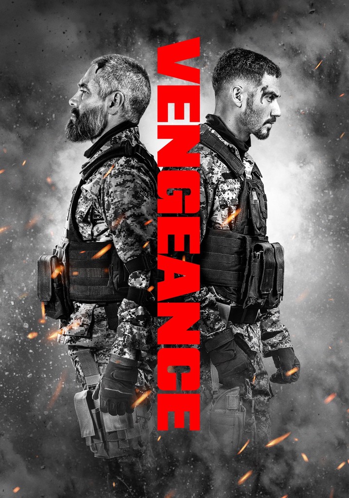 Vengeance poster