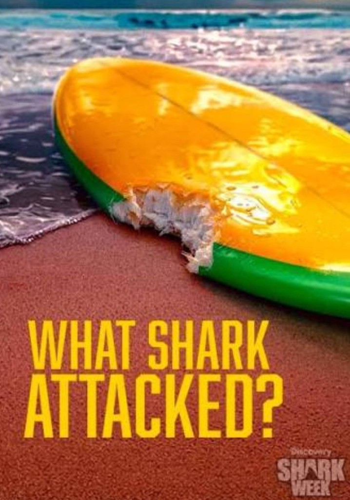 What Shark Attacked? poster